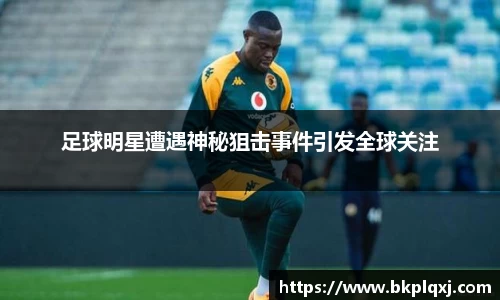 IM体育·(sports)官方网站